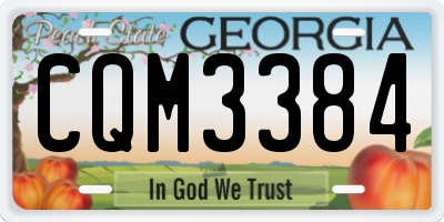 GA license plate CQM3384