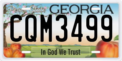 GA license plate CQM3499