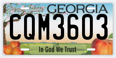 GA license plate CQM3603