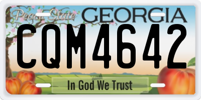 GA license plate CQM4642