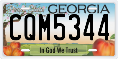 GA license plate CQM5344