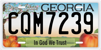 GA license plate CQM7239