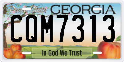 GA license plate CQM7313