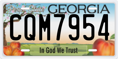 GA license plate CQM7954