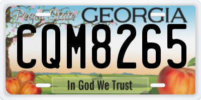 GA license plate CQM8265