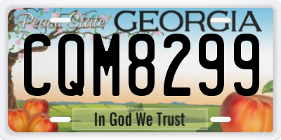 GA license plate CQM8299