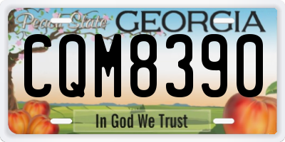 GA license plate CQM8390