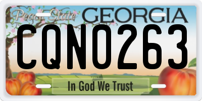 GA license plate CQN0263