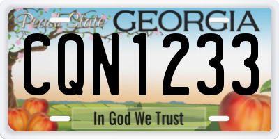 GA license plate CQN1233