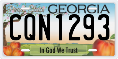 GA license plate CQN1293