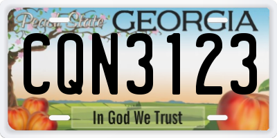 GA license plate CQN3123