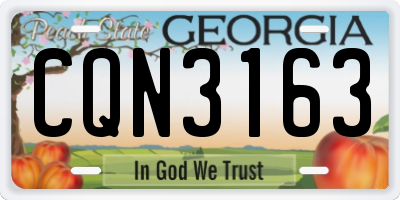 GA license plate CQN3163