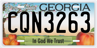 GA license plate CQN3263