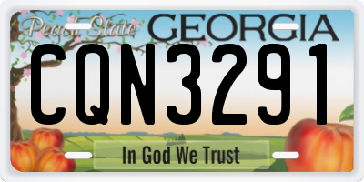 GA license plate CQN3291