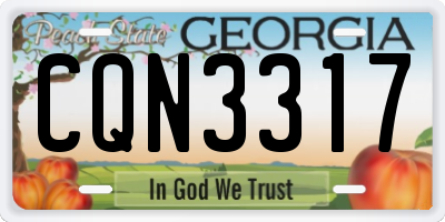 GA license plate CQN3317