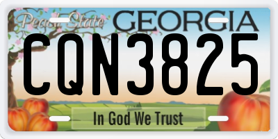 GA license plate CQN3825