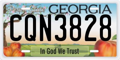 GA license plate CQN3828