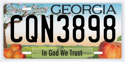 GA license plate CQN3898