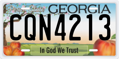 GA license plate CQN4213