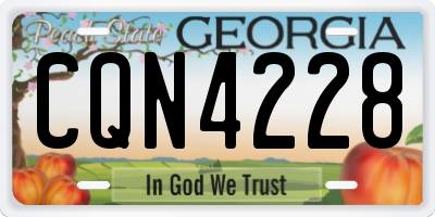 GA license plate CQN4228