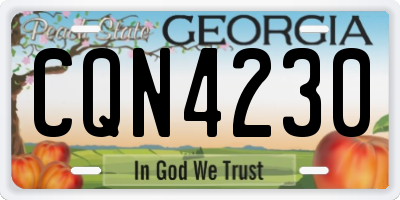 GA license plate CQN4230