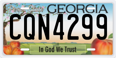 GA license plate CQN4299