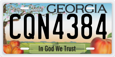 GA license plate CQN4384