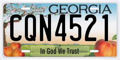 GA license plate CQN4521