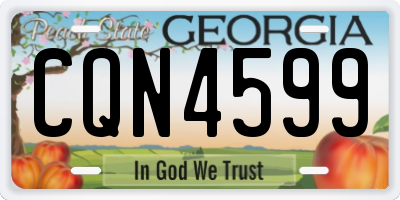 GA license plate CQN4599