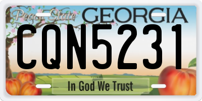 GA license plate CQN5231