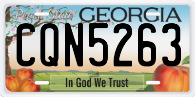 GA license plate CQN5263