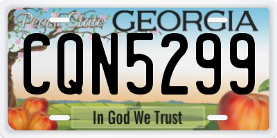 GA license plate CQN5299