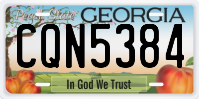 GA license plate CQN5384
