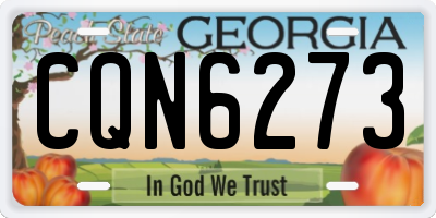 GA license plate CQN6273