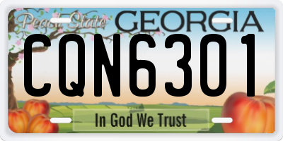 GA license plate CQN6301