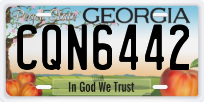 GA license plate CQN6442