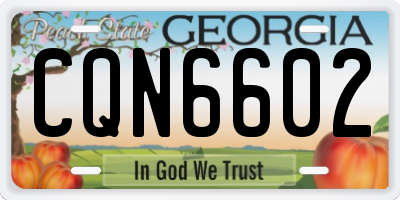 GA license plate CQN6602