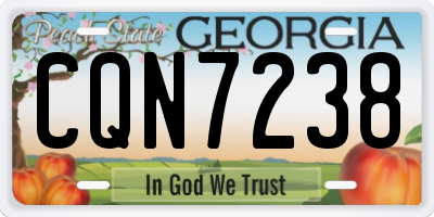 GA license plate CQN7238