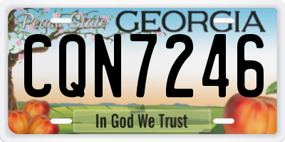 GA license plate CQN7246
