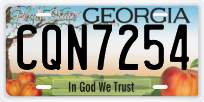 GA license plate CQN7254