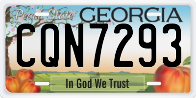 GA license plate CQN7293