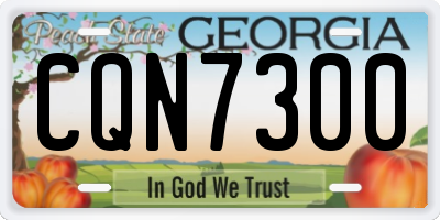 GA license plate CQN7300