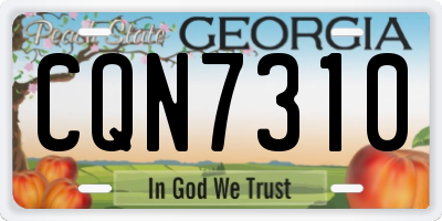 GA license plate CQN7310