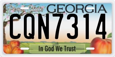 GA license plate CQN7314