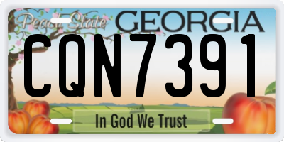 GA license plate CQN7391