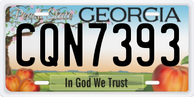 GA license plate CQN7393
