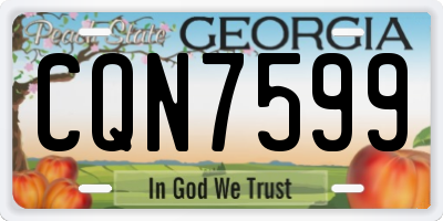 GA license plate CQN7599