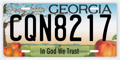 GA license plate CQN8217
