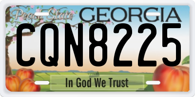 GA license plate CQN8225