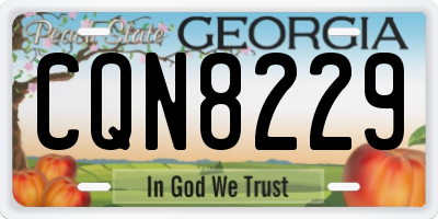 GA license plate CQN8229